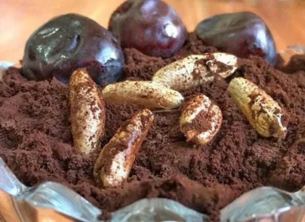 تصویر 4 از خرید و قیمت دمنوش هسته خرما + فروش صادراتی